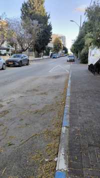 דרישת פתרון למצוקת חניה ברחובות רמבם וברנר ברעננה