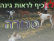 גינת כלבים לנווה סביון