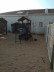 הזנחת הטיפול בתשתיות בגני הילדים בעלי