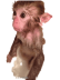 אימוץ קופים בישראל