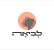 כולא זום-מחזירות.ים את המודל ההיברידי 