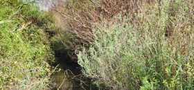 הנחל שלנו בסכנה - קולכם יכול להציל אותו!