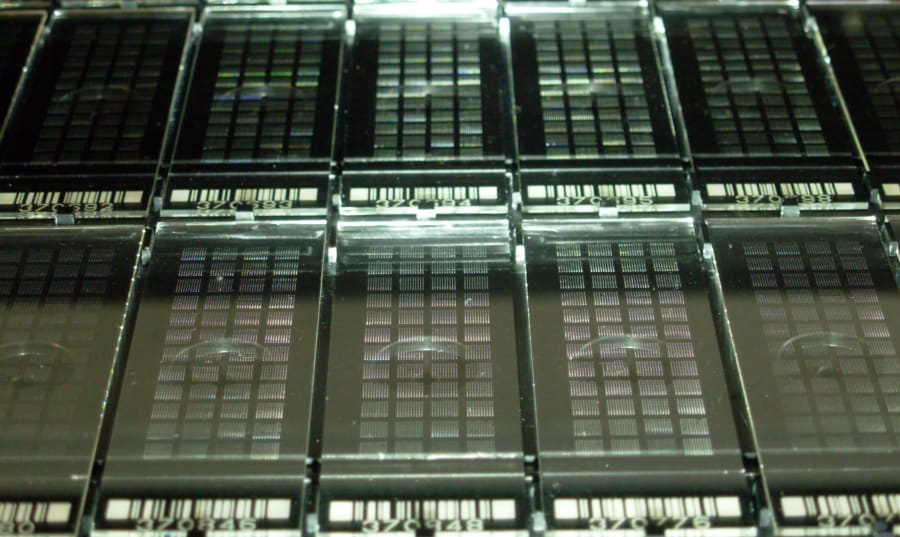 dna-microarray-test Image