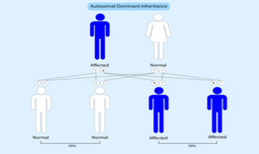 Autosomal Dominant