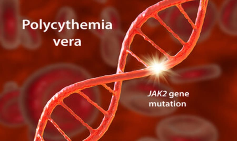 jak2-mutation-test-in-hindi