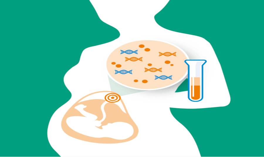 nipt-blood-test Image