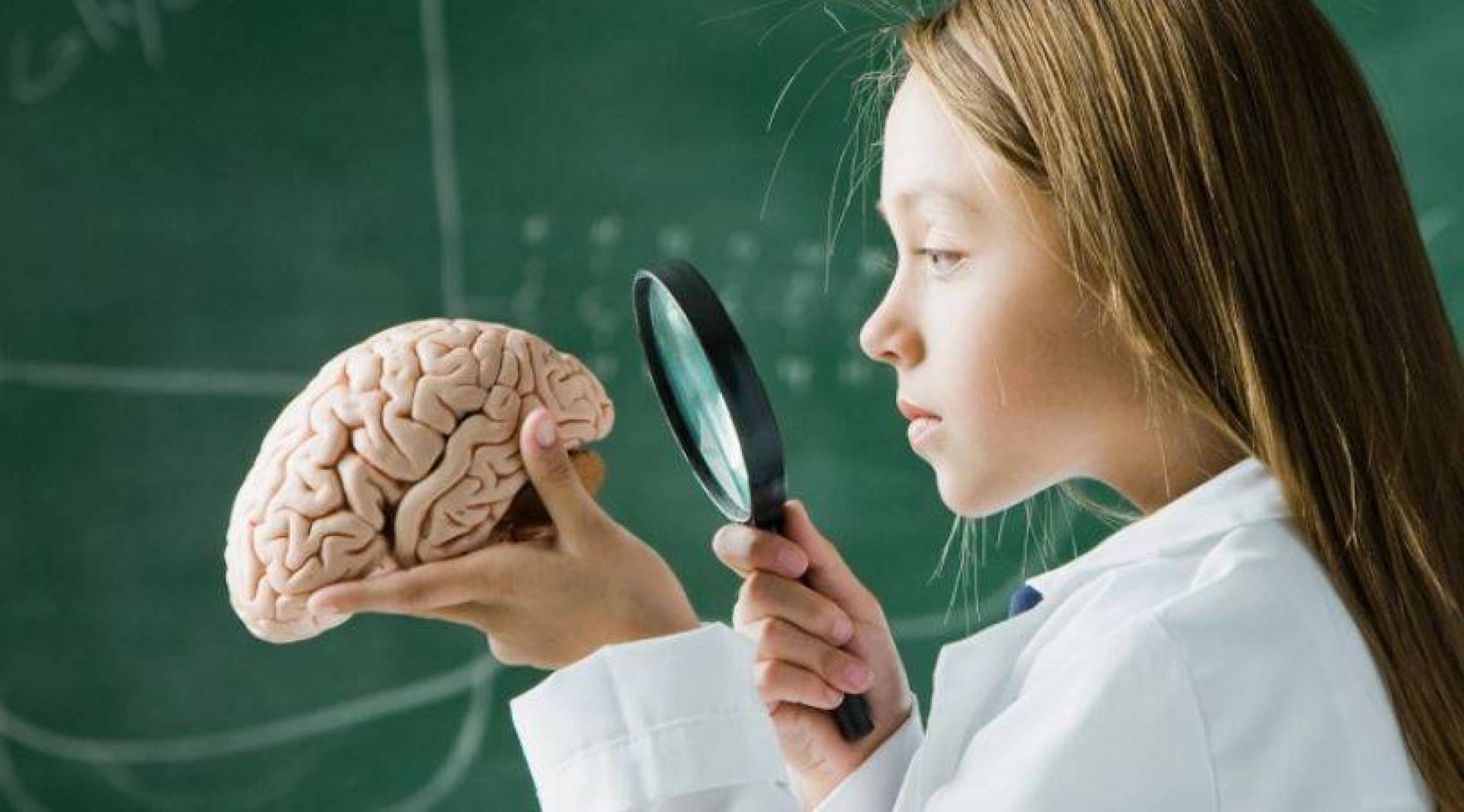 Image princiapl de l'article