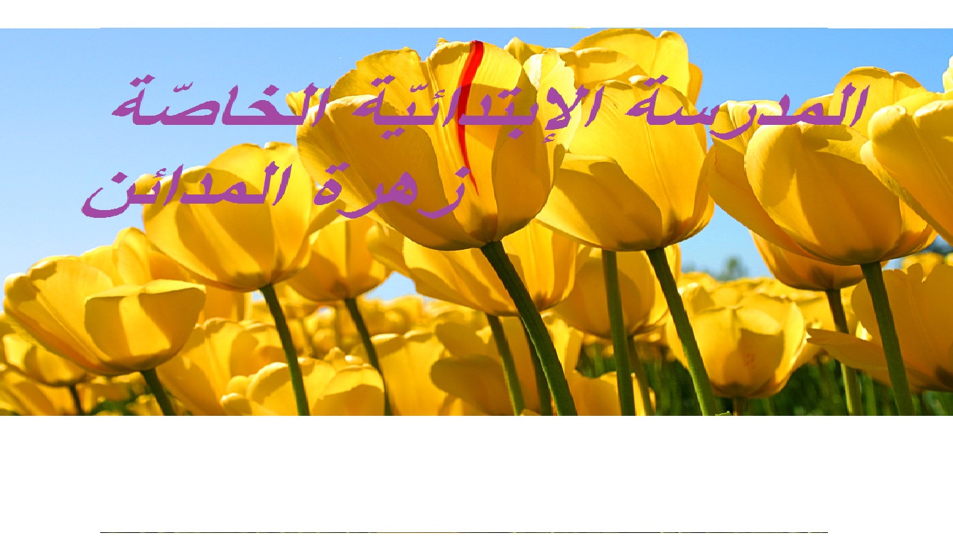 الصورة الرمزية للمؤسسة