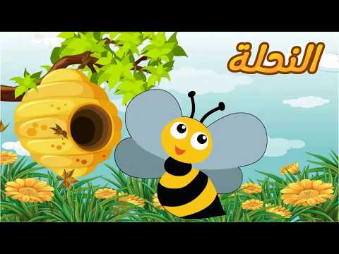 قصة النحلة العاملة | Wledi - Wledi