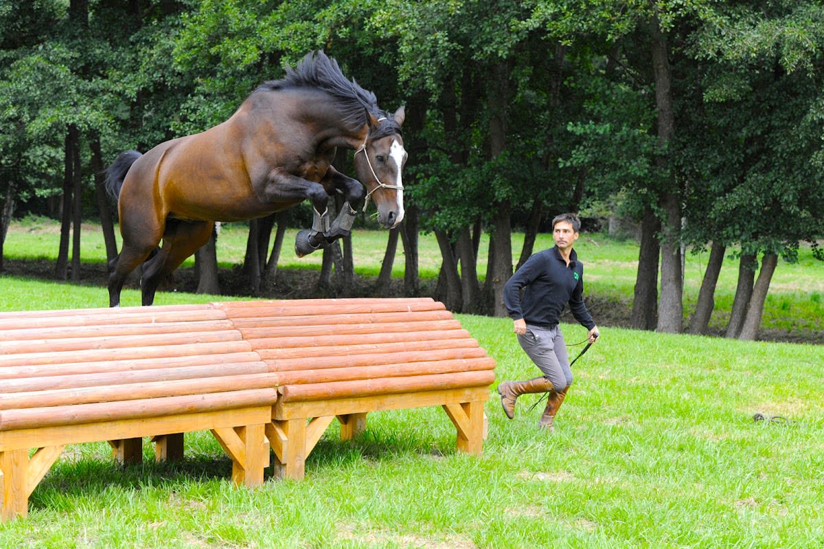 Photo 1 de Haras de la Cense