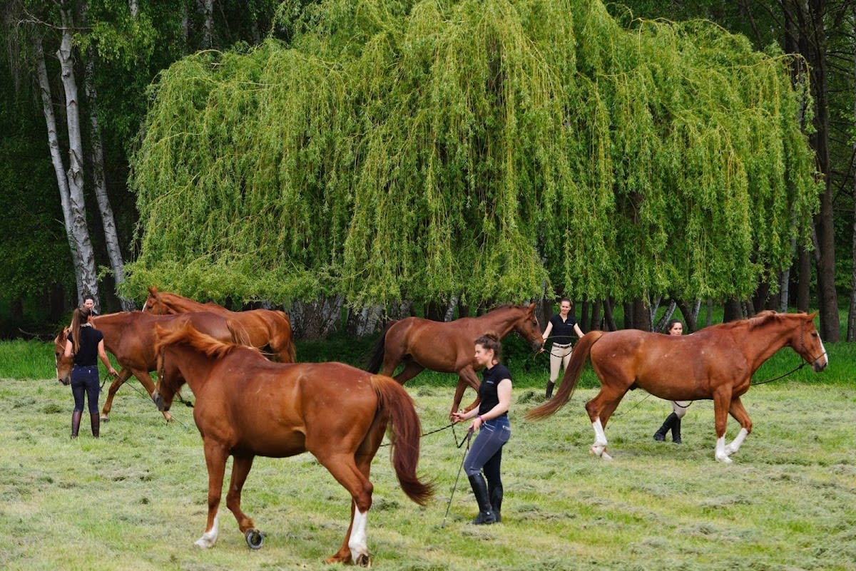 Photo 2 de Haras de la Cense