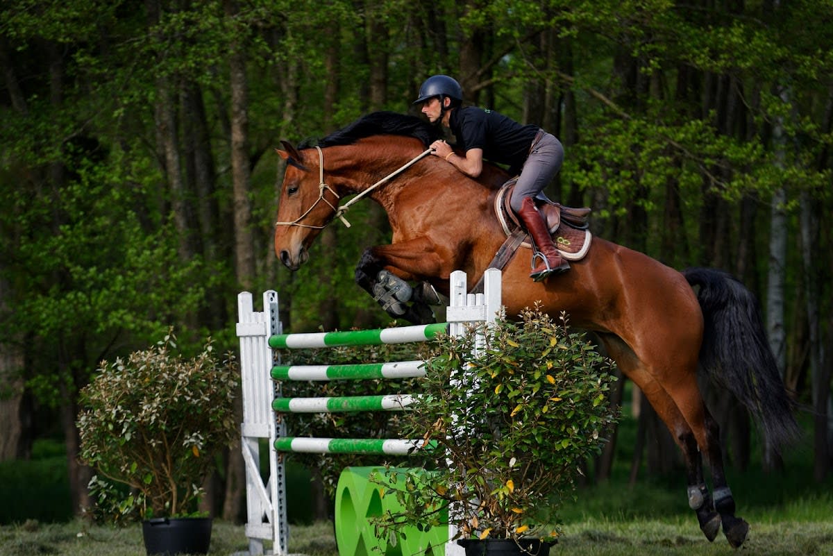 Photo 3 de Haras de la Cense