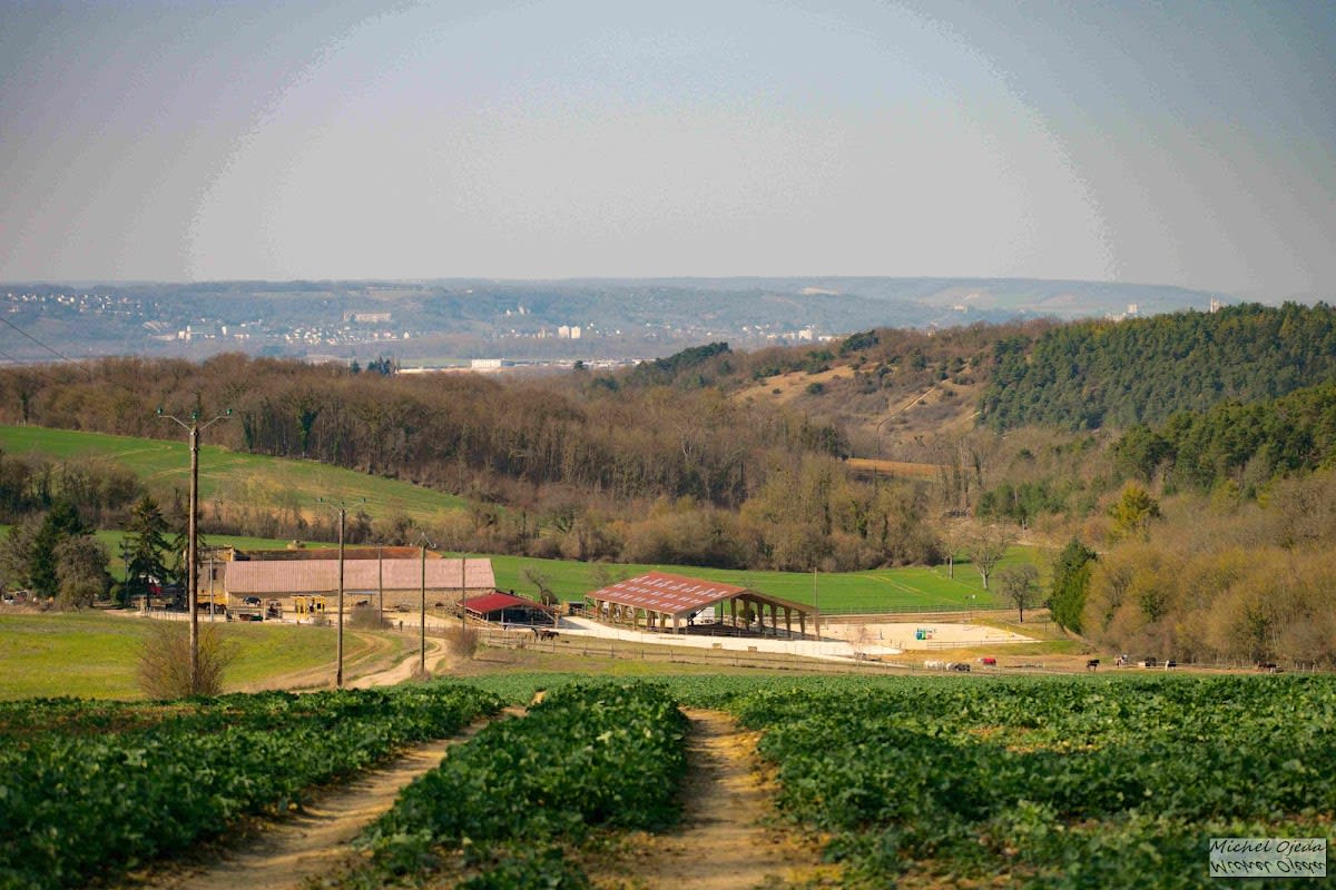 Photo 2 de Centre Équestre la Charbonnière