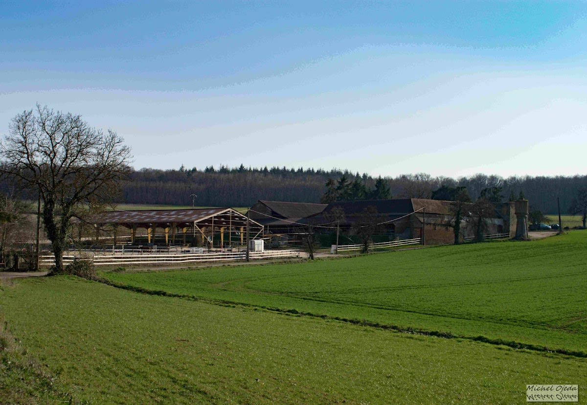 Photo 4 de Centre Équestre la Charbonnière