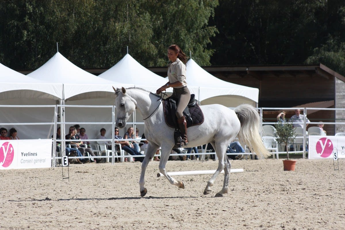 Photo 2 de Equi Clever H