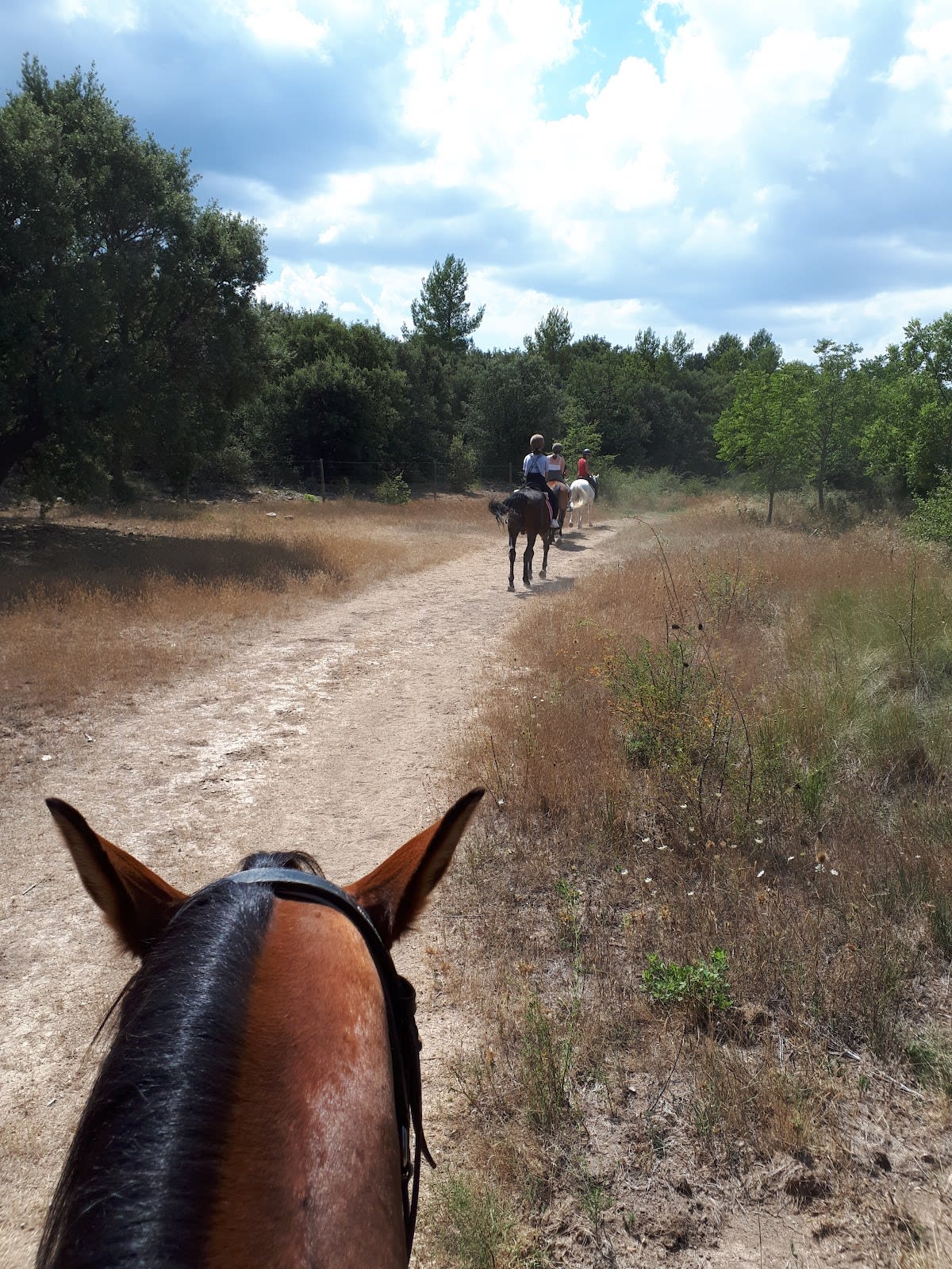 Photo 5 de Centre Equestre Clos Sainte Victoire
