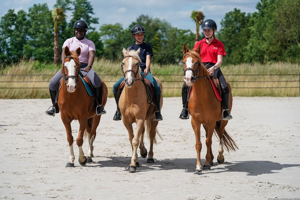 Photo 2 de Epona - Croissy Beaubourg Equitation