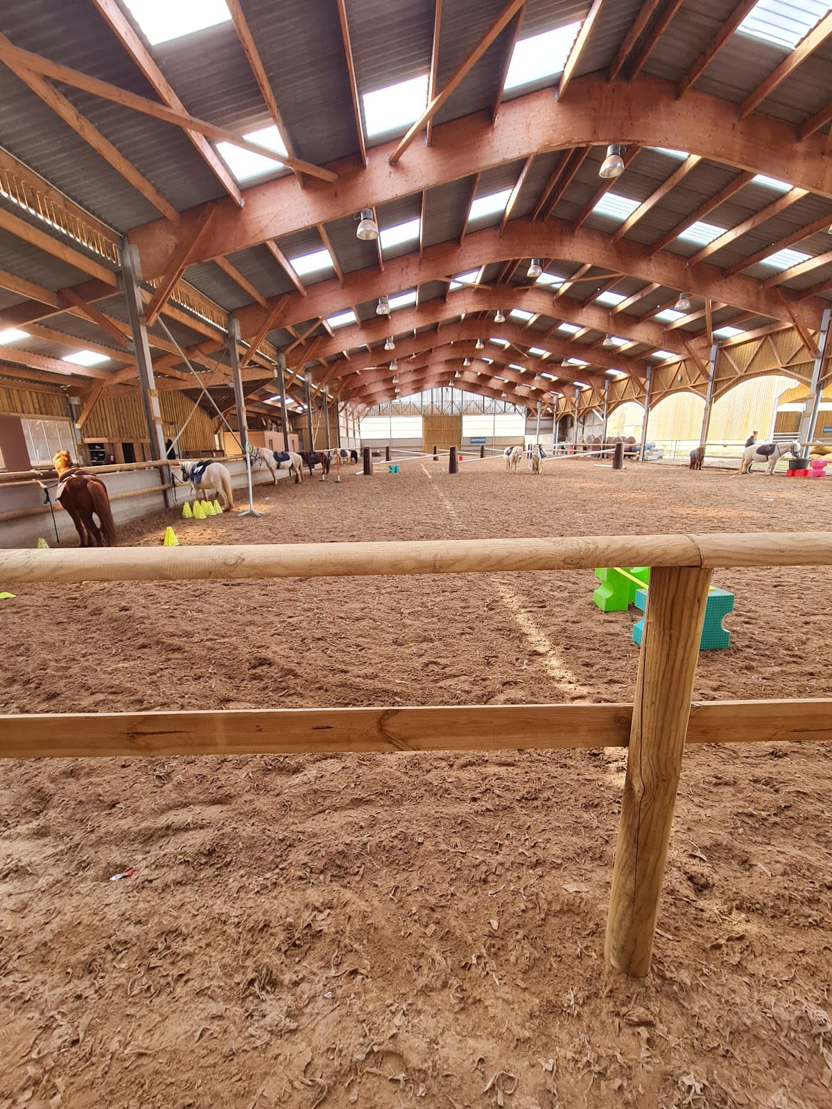 Photo 3 de Epona - Croissy Beaubourg Equitation