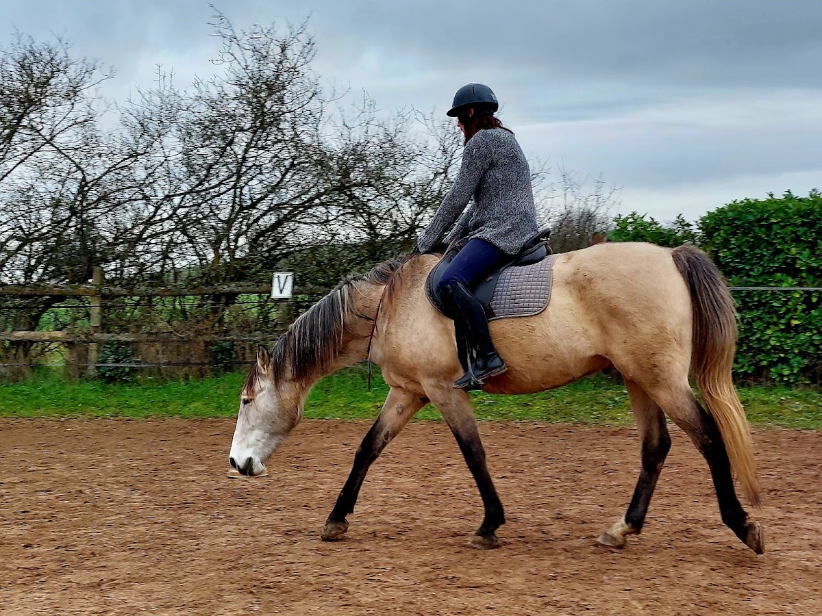 Photo 3 de Charlotte Pantos