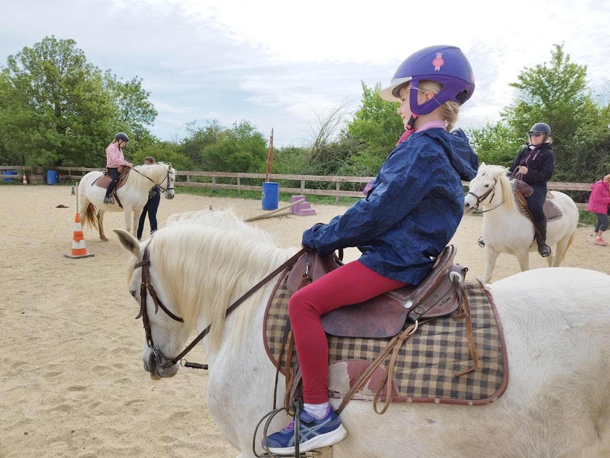 Photo 1 de Les cavaliers des roses