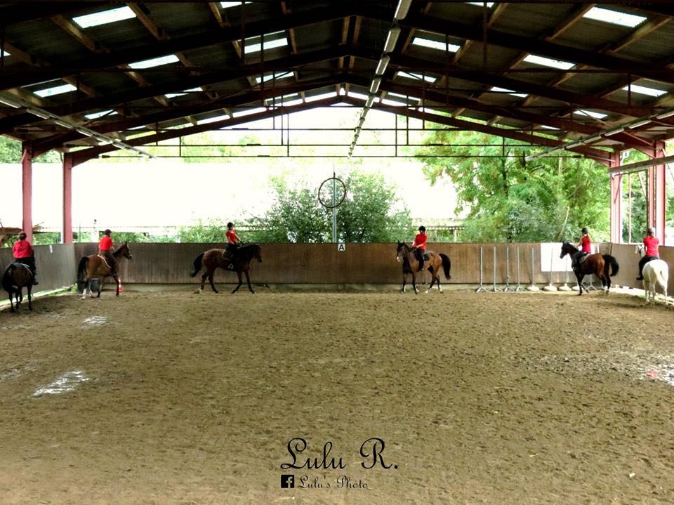 Photo 1 de École Équestre du Scheidstein