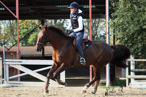 Photo 5 de École Équestre du Scheidstein