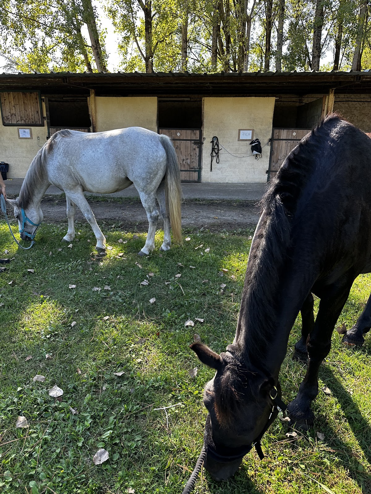 Photo 2 de Equilogos