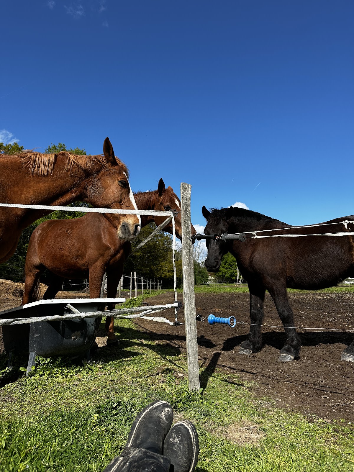 Photo 4 de Equilogos
