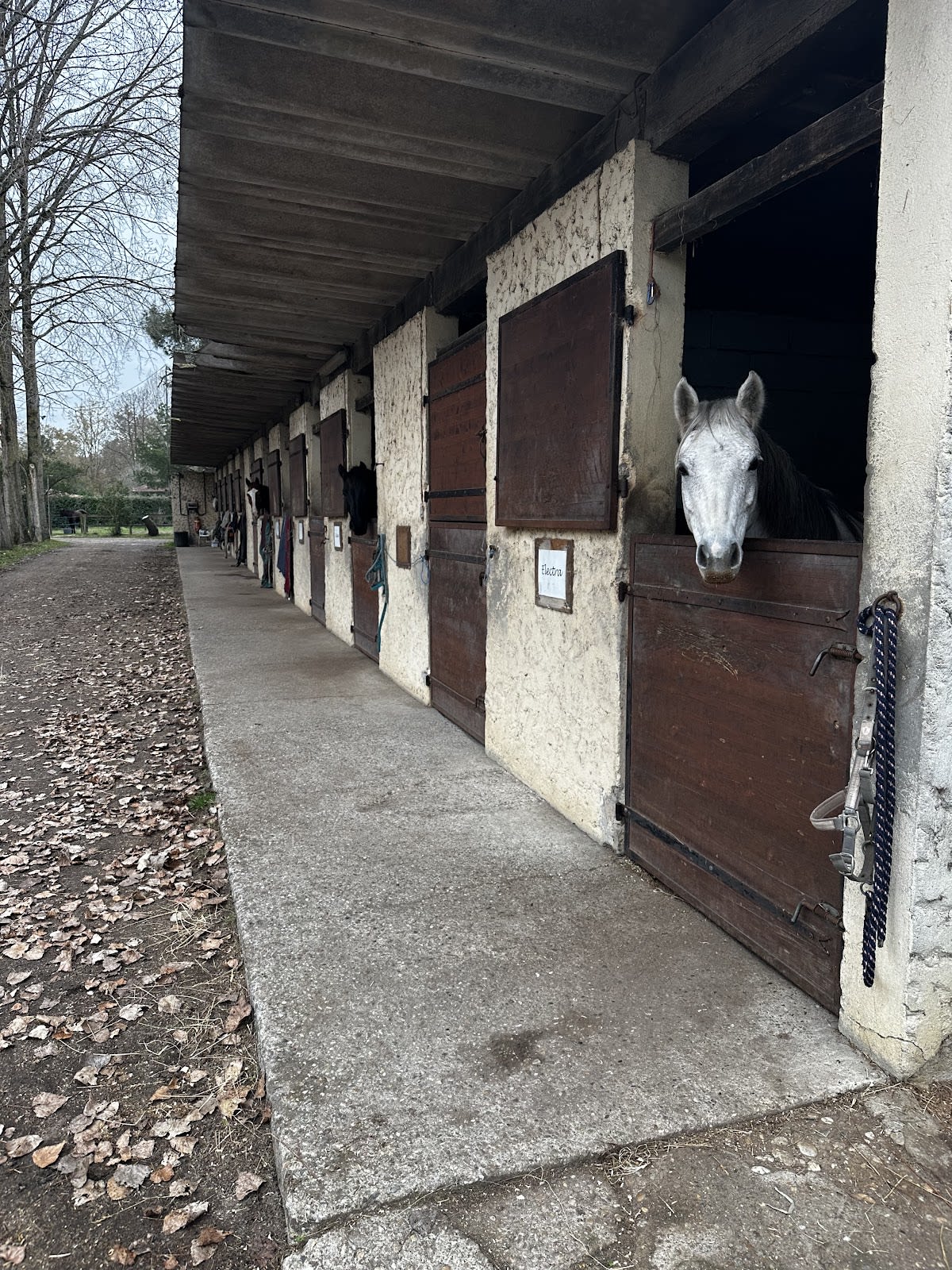 Photo 5 de Equilogos