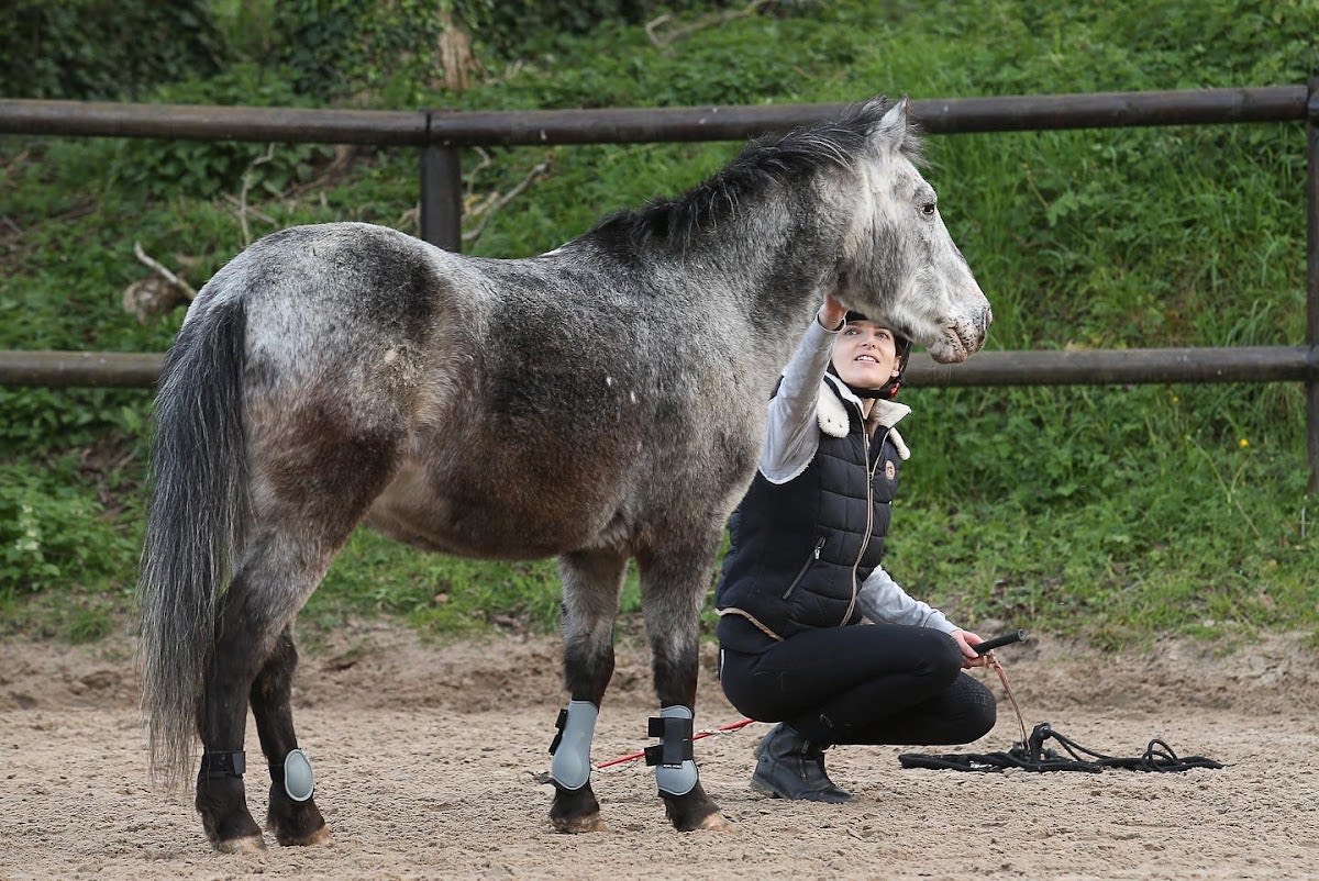 Photo 3 de Centre équestre de Mourecourt