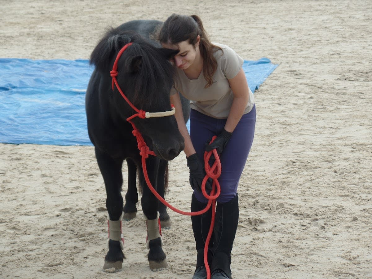 Photo 5 de Centre équestre de Mourecourt