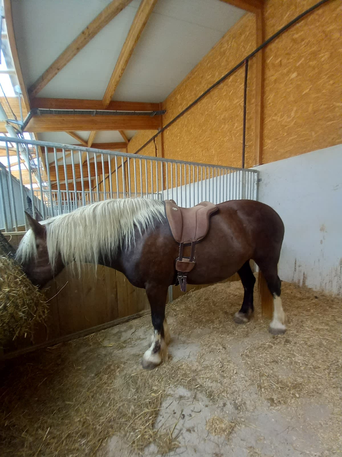 Photo 3 de Domaine de Fraisse