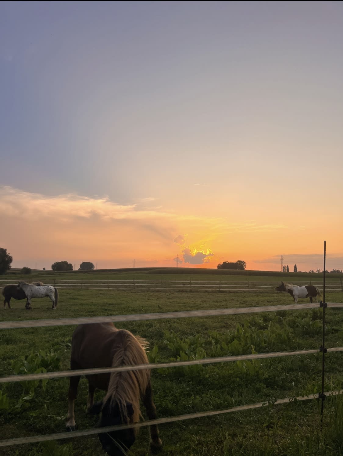 Photo 1 de La Ferme d'Epona