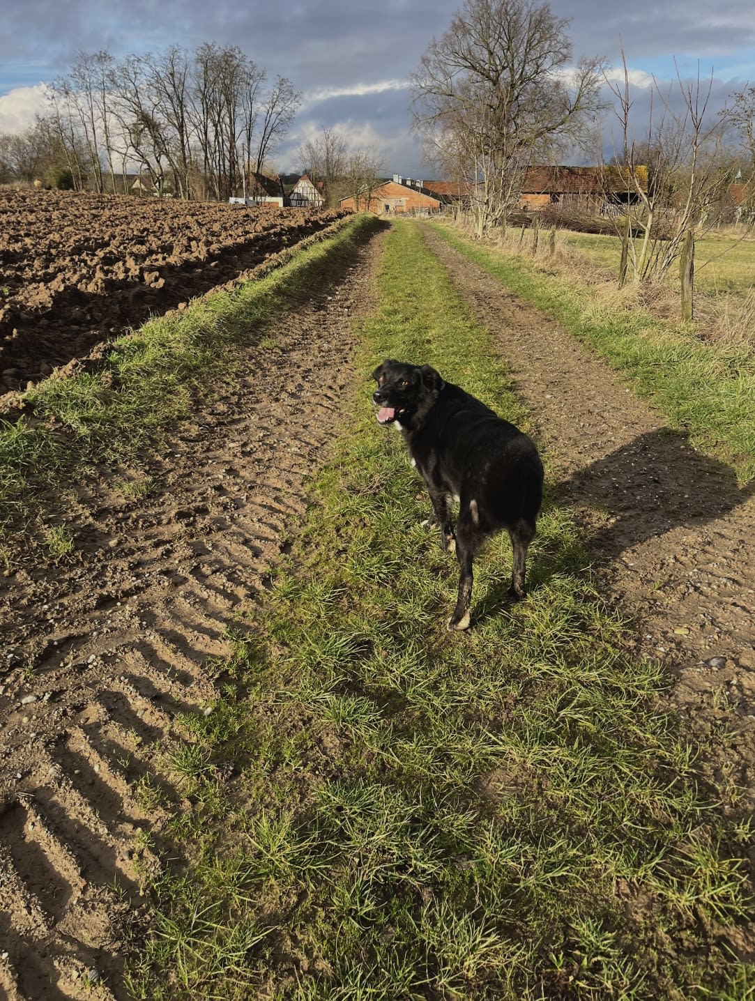 Photo 3 de La Ferme d'Epona