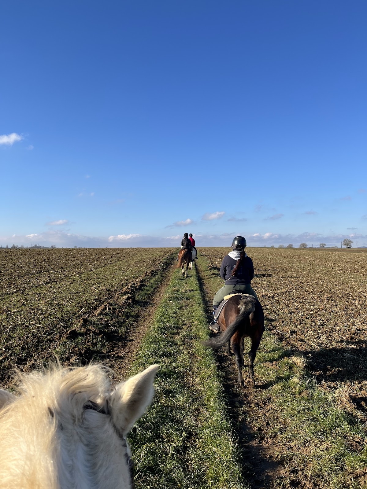Photo 4 de La Ferme d'Epona