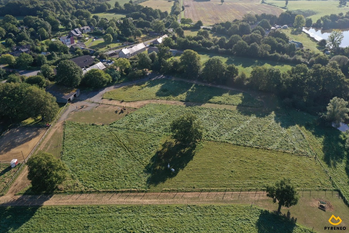 Photo 1 de Equita'sion