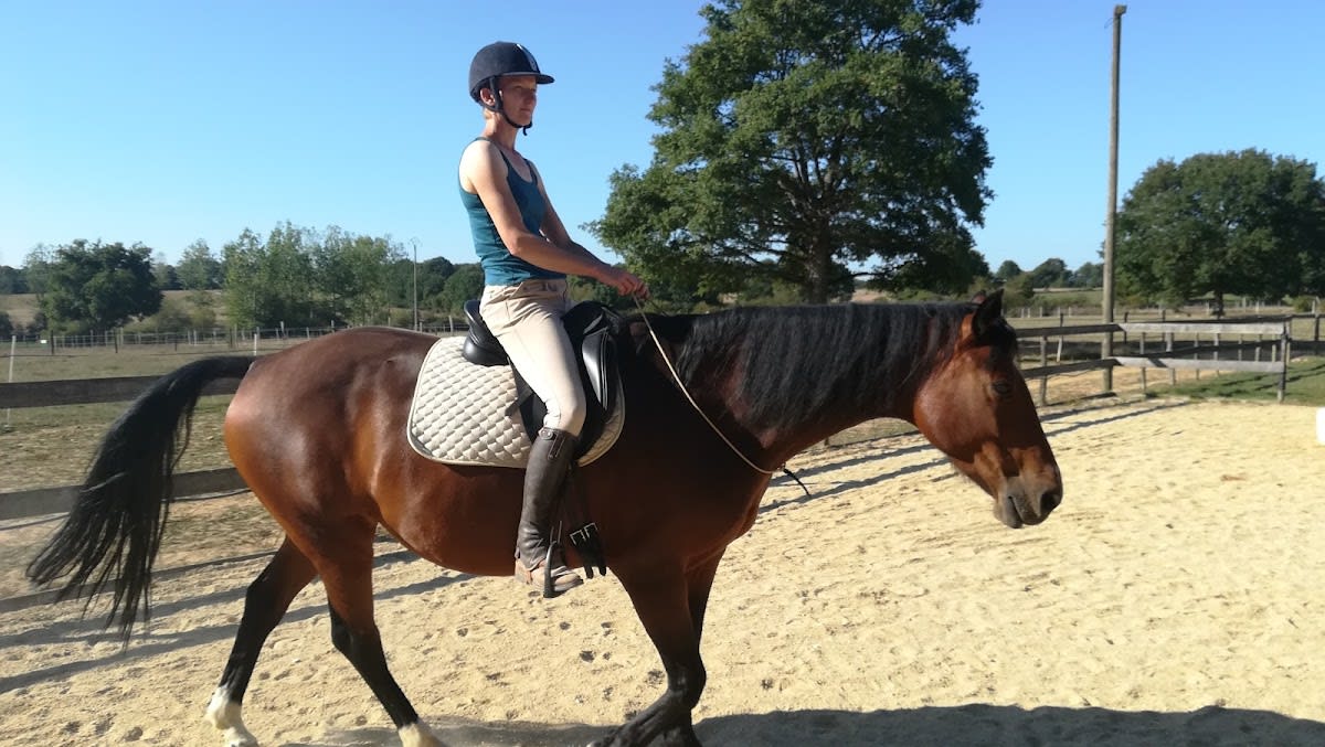 Photo 3 de Equita'sion