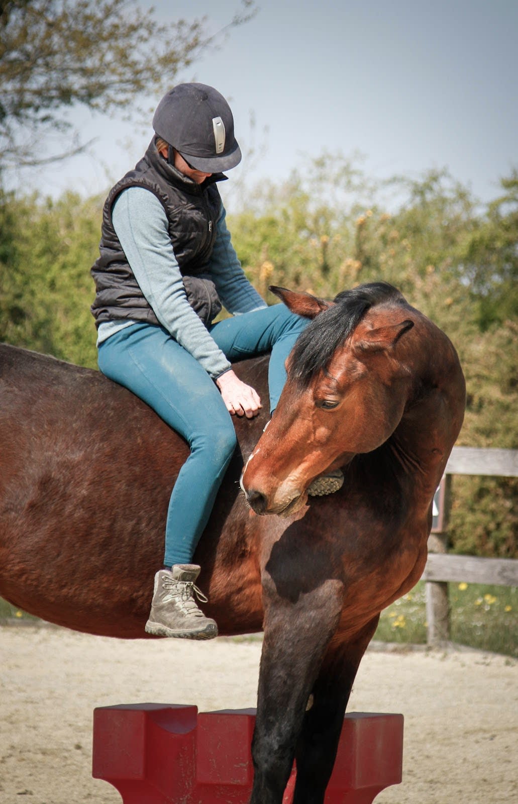 Photo 4 de Equita'sion