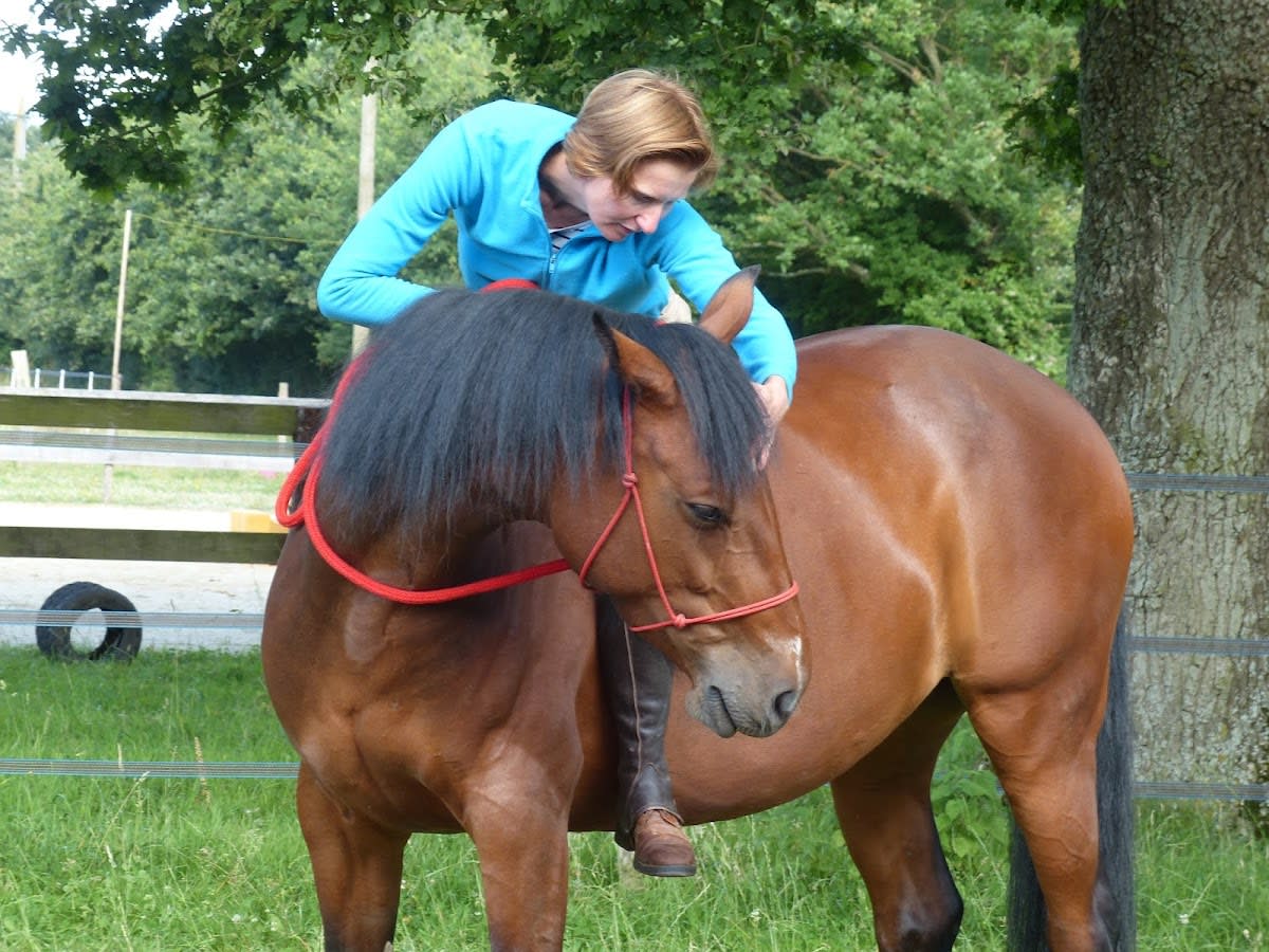 Photo 5 de Equita'sion