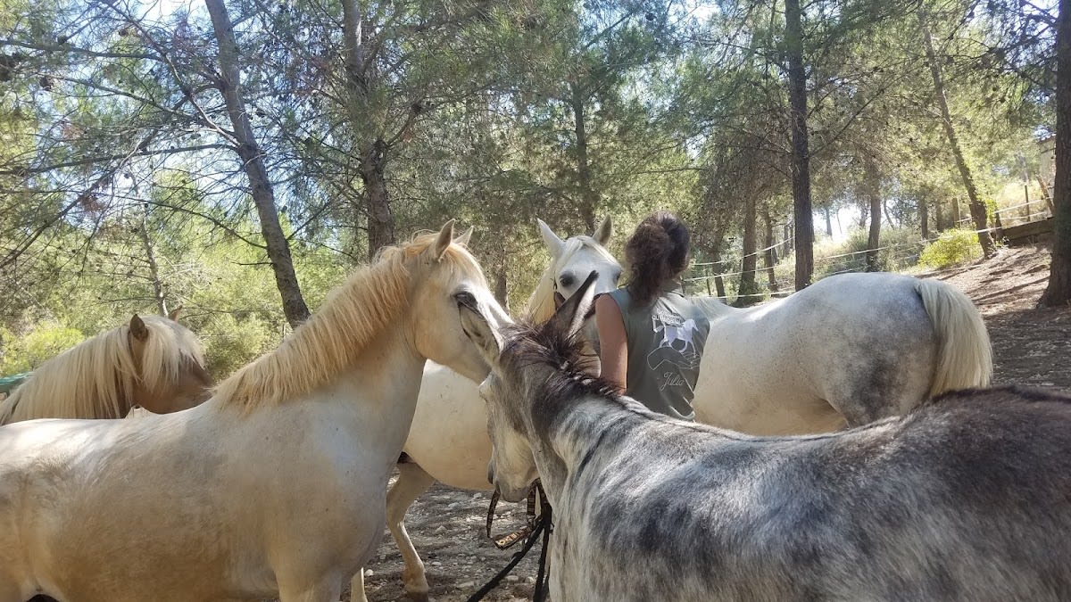 Photo 3 de Le domaine du Réganel