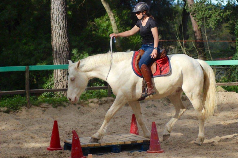 Photo 4 de Le domaine du Réganel