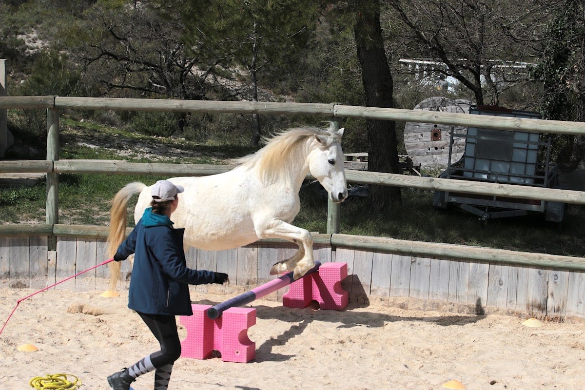 Photo 5 de Le domaine du Réganel