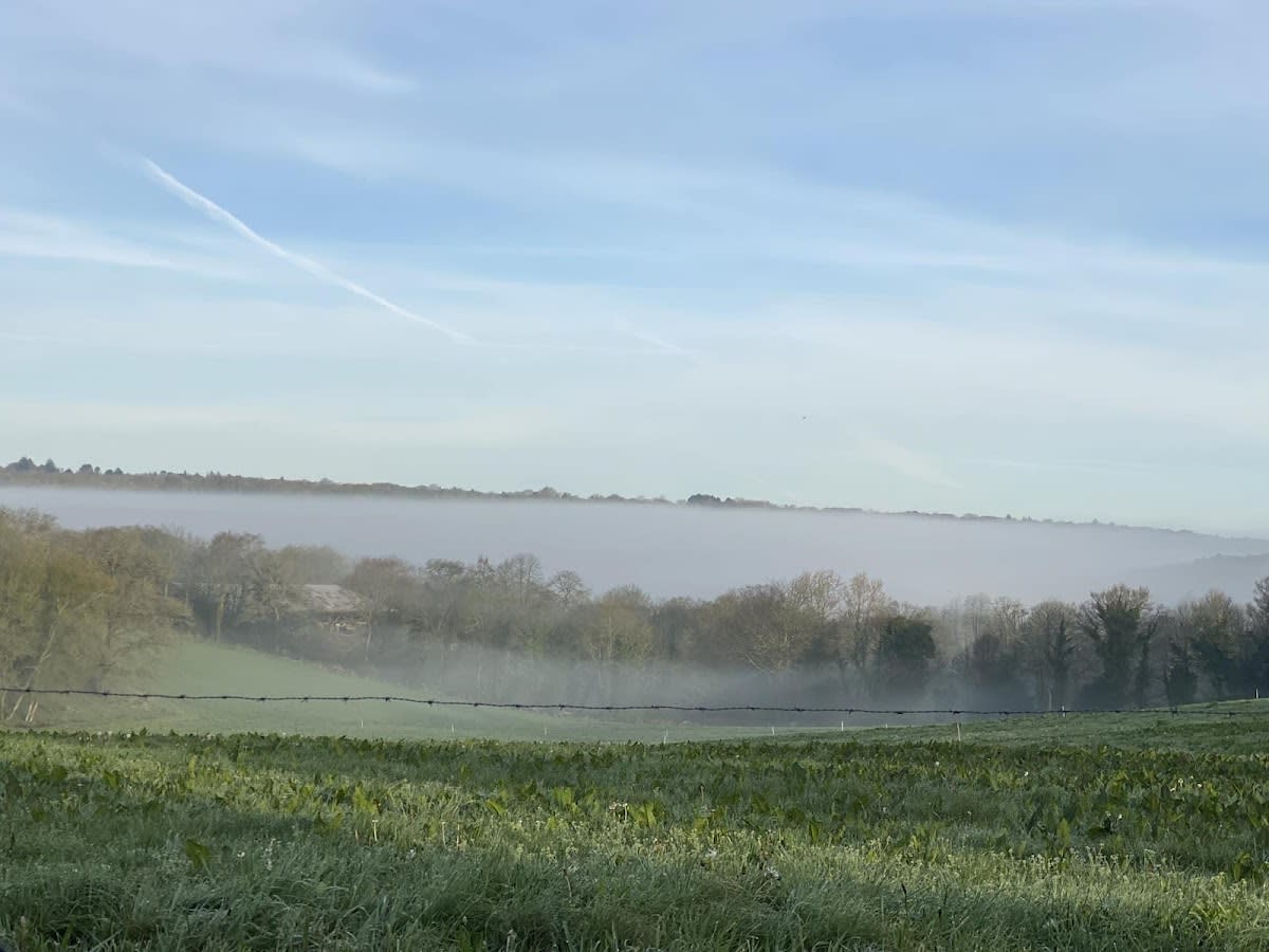 Photo 2 de Les Crinières de l'Ouest