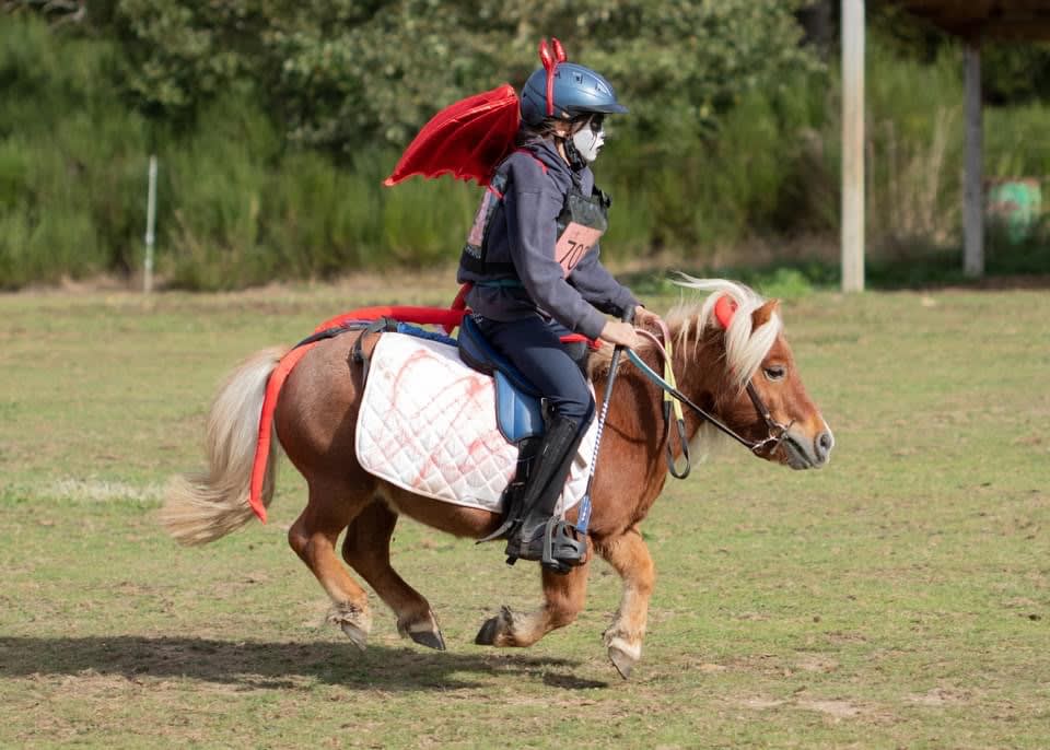 Photo 3 de L'écurie des Gatines