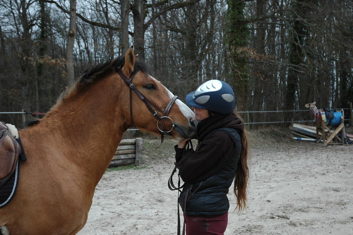 Photo 4 de L'écurie des Gatines