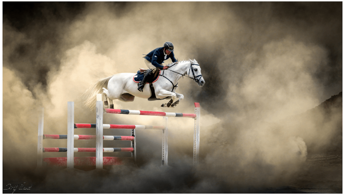 Photo 1 de Le Centaure de Lamaurelle