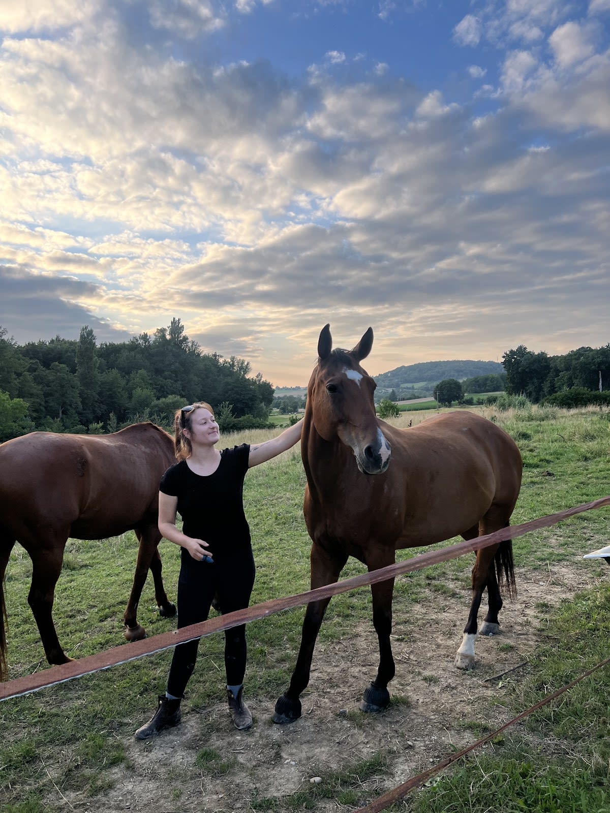 Photo 3 de Le Centaure de Lamaurelle