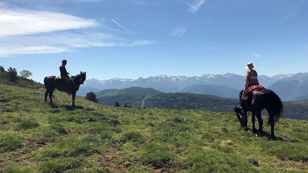 Photo 1 de Pôle Equestre de Léran