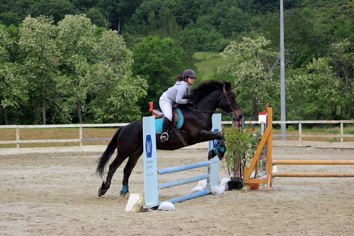 Photo 2 de Pôle Equestre de Léran