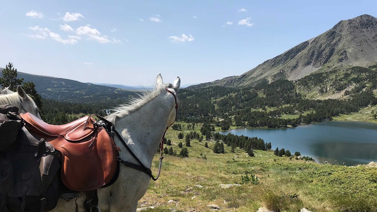 Photo 4 de Pôle Equestre de Léran